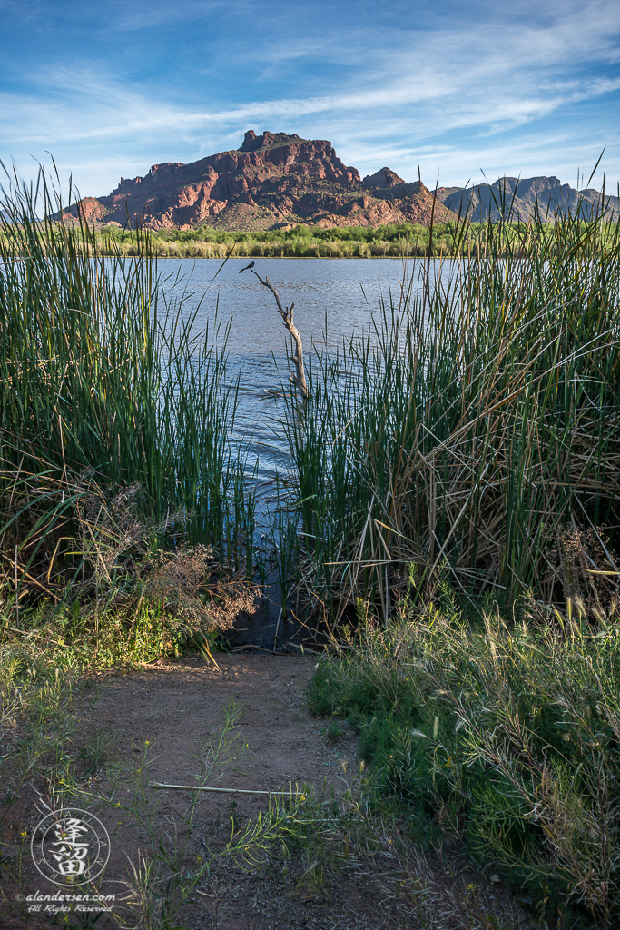 Early morning by Red Mountain and Salt River.