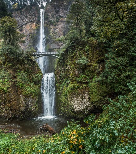 Cover image for Al Andersen Photography's Miscellaneous Oregon Landscapes Gallery.