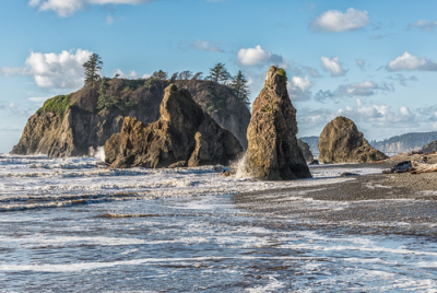 Cover image for Al Andersen Photography's Washington Coast Gallery.