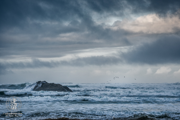 Pelicans on patrol at Hug Point State Park.