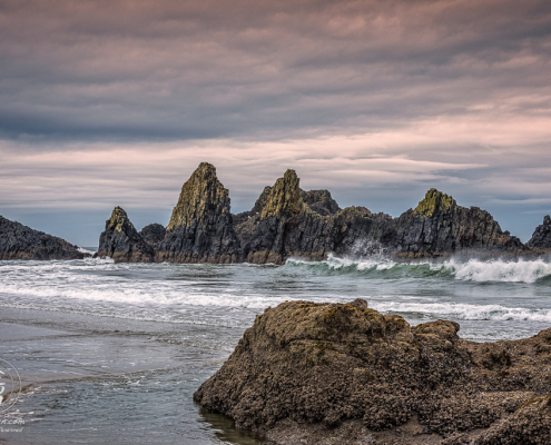 Morning Sun paints tips of jagged rock formations lining beach at Seal Rock State Wayside in Oregon.