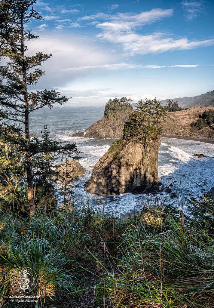 The sea stacks at Arch Rock Roadside Viewpoint near Brookings in Oregon.