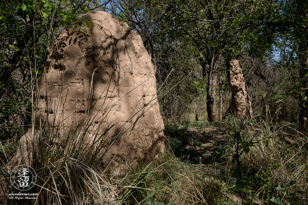 Sunlit eroded adobe wall at ghost town Charleston, Arizona.