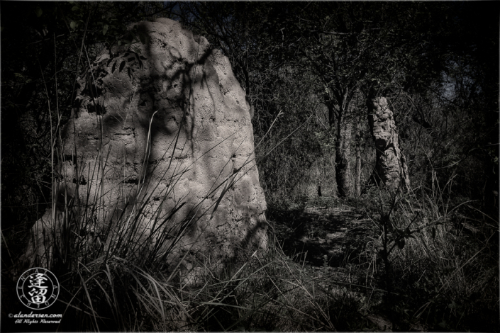 Sunlight warms an eroded adobe wall at the well-hidden ghost town of Charleston, Arizona.