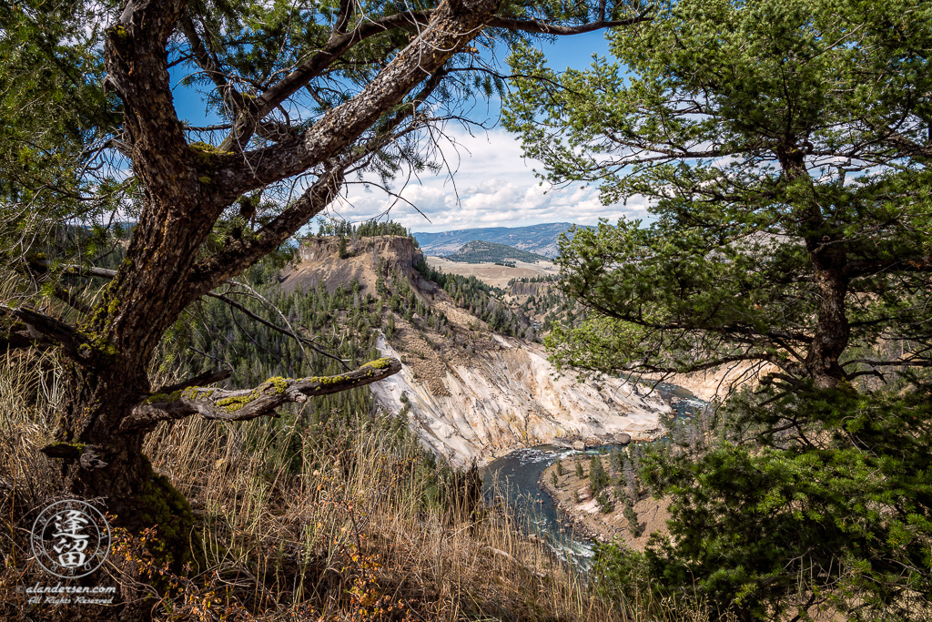 Milky-white Calcite Springs hydrothermal feature on the Yellowstone River.