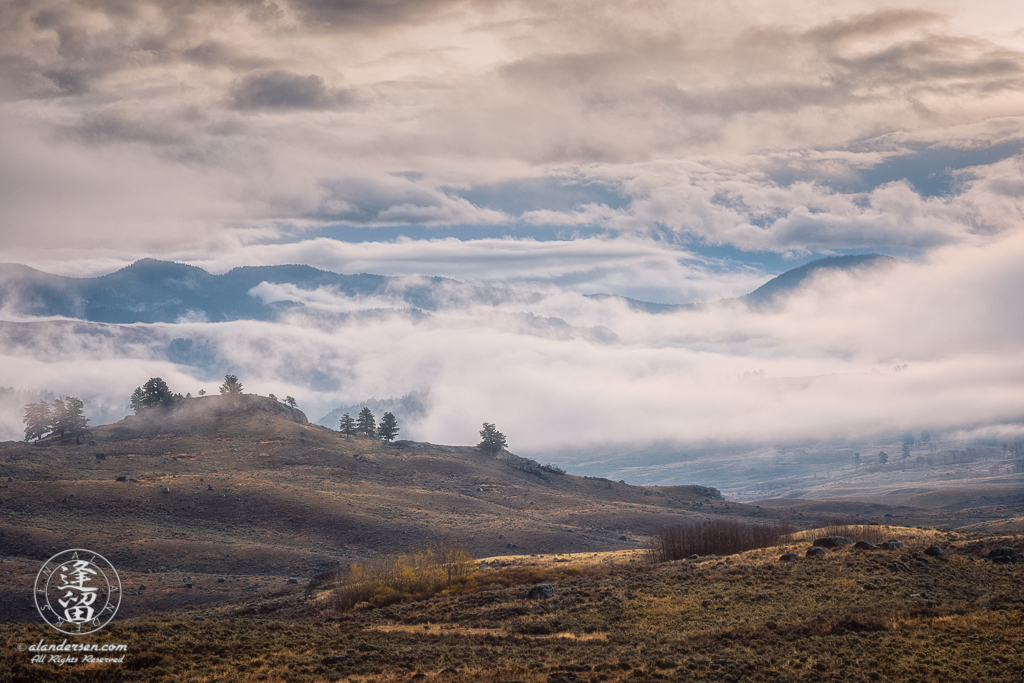 Lamar Valley filled with clouds on a cold wet Autumn morning.