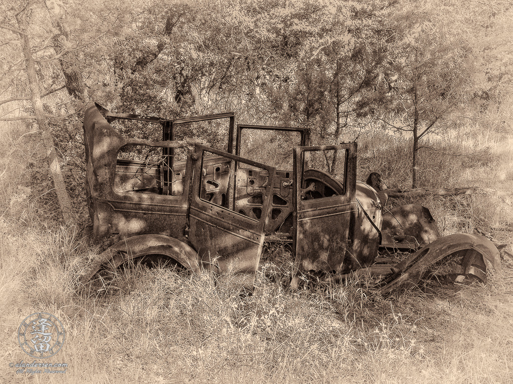 Old rusted car abandoned in Brown Canyon woods.