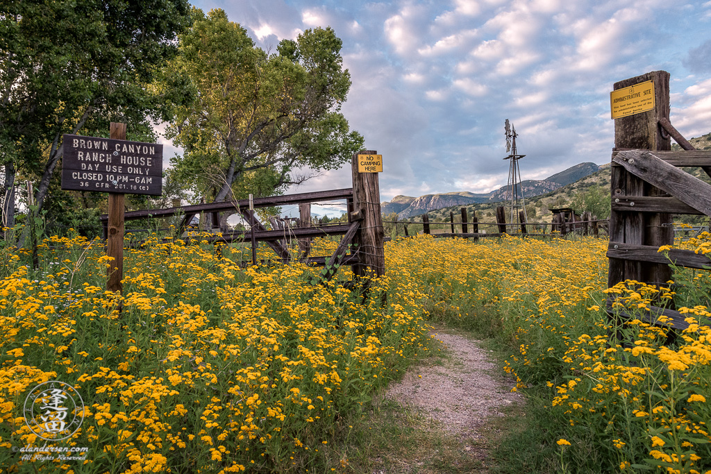 Beautiful Summer morning at Brown Canyon Ranch in Southeastern Arizona.