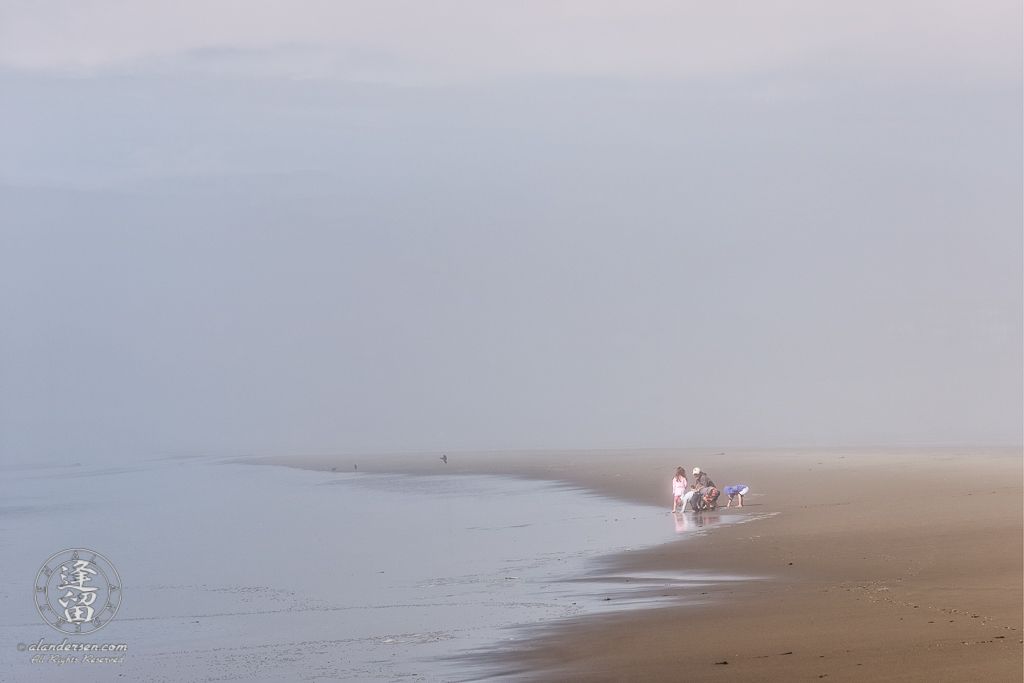 Children exploring the wonders of the beach with their father on a foggy afternoon at Bandon in Oregon.