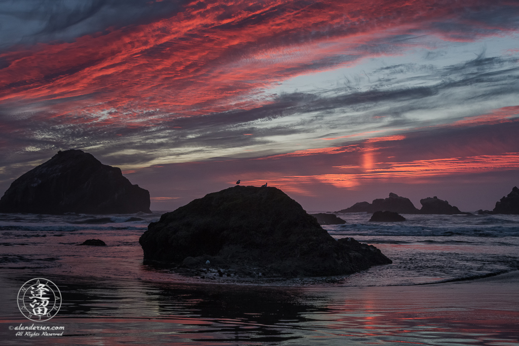 Pair of seagulls perched atop rock during sunset near the Kittens seastacks at Bandon Beach in Oregon.