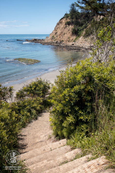 Wooden stairs lead to beach at bottom of South Cove Trail at Cape Arago in Oregon.