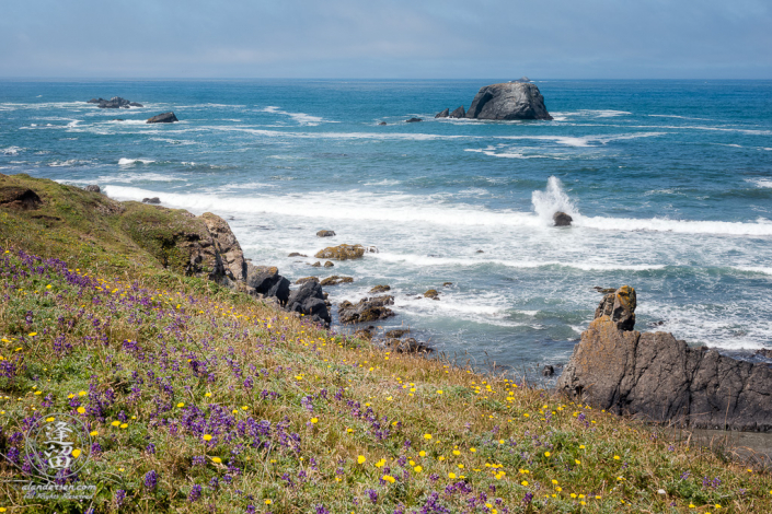 Scenic view from atop a cliff looking down at the basalt rock formations jutting out from the blue waters of the Pacific Ocean at Point St George outside of Crescent City in Northern California.