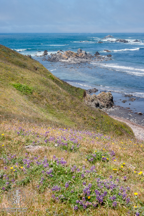 A scenic view from atop a cliff looking down at the basalt rock formations jutting out from the blue waters of the Pacific Ocean at Point St George outside of Crescent City in Northern California.