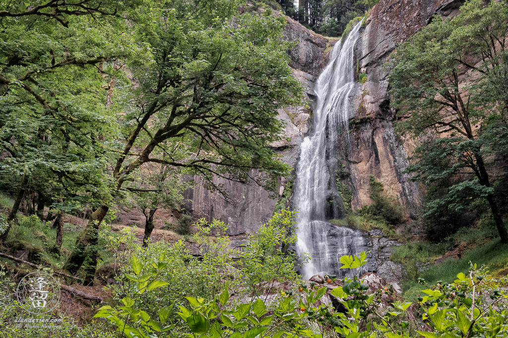 View from bottom of Golden Falls, at Golden and Silver Falls State Natural Area near Allegany in Oregon.