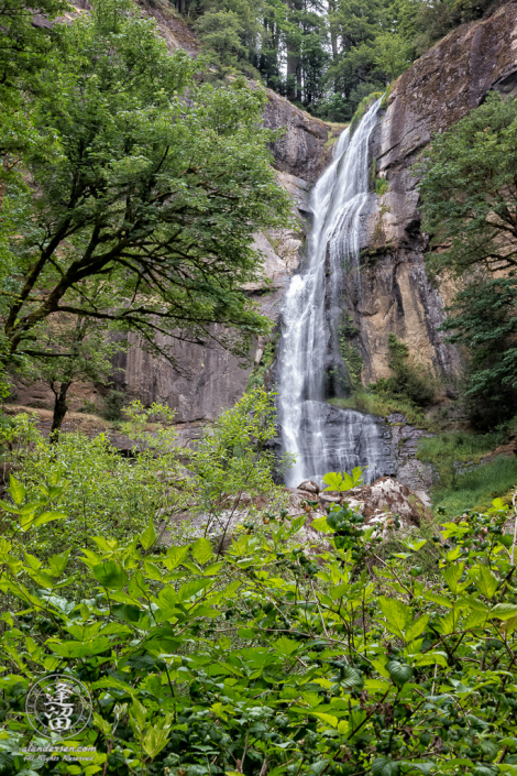 View from bottom of Golden Falls, at Golden and Silver Falls State Natural Area near Allegany in Oregon.