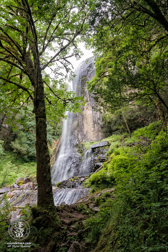 Scenic view from the bottom of Silver Falls, at Golden and Silver Falls State Natural Area near Allegany in Oregon.