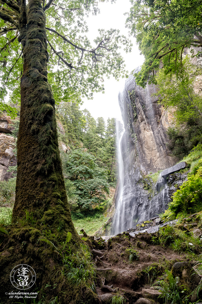 A view from the bottom of Silver Falls, at Golden and Silver Falls State Natural Area near Allegany in Oregon.