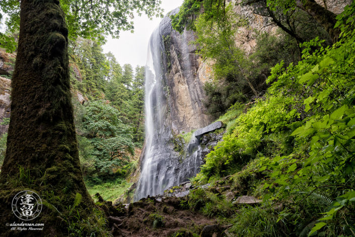 Scenic view from the bottom of Silver Falls, at Golden and Silver Falls State Natural Area near Allegany in Oregon.