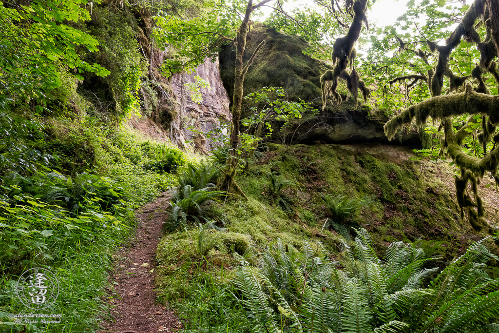 Trail to the top of Golden Falls at Golden and Silver Falls State Natural Area near Allegany in Oregon.