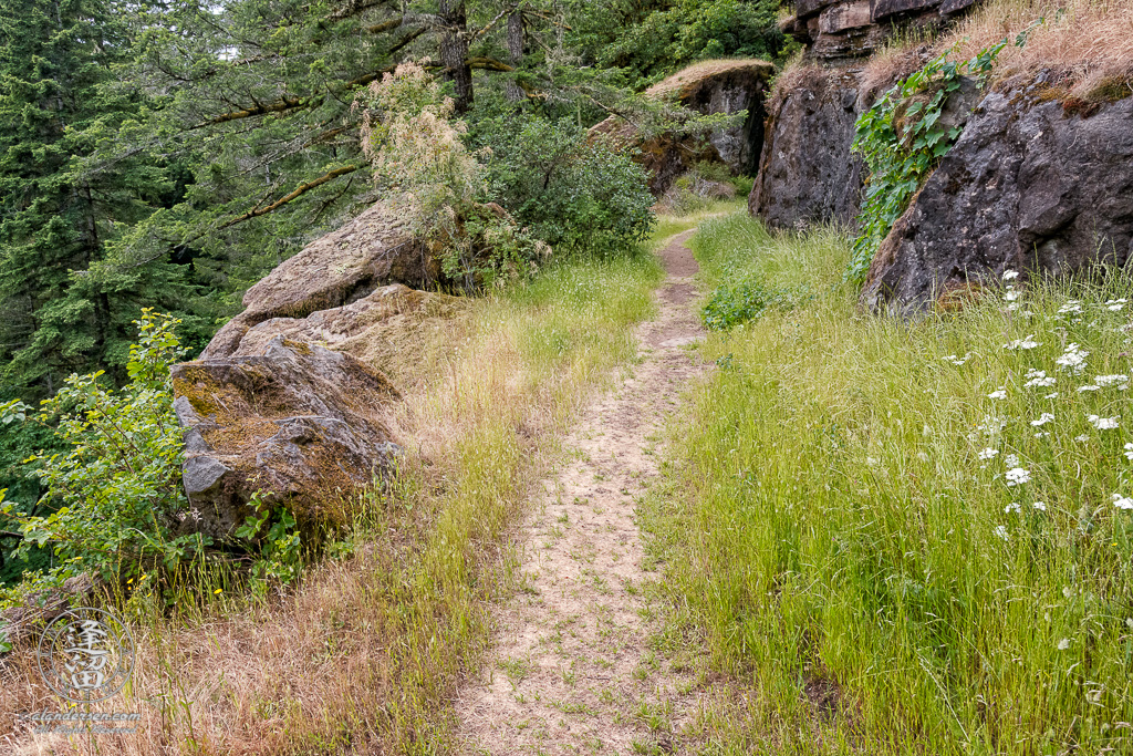 Trail down from the top of Golden Falls at Golden and Silver Falls State Natural Area near Allegany in Oregon.