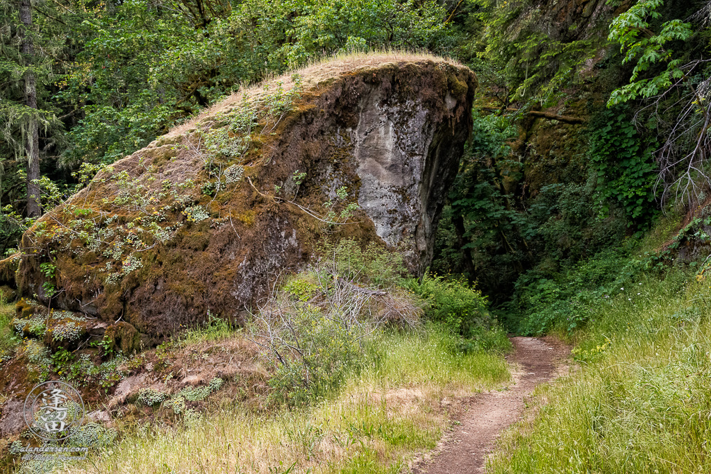 Trail down from the top of Golden Falls at Golden and Silver Falls State Natural Area near Allegany in Oregon.