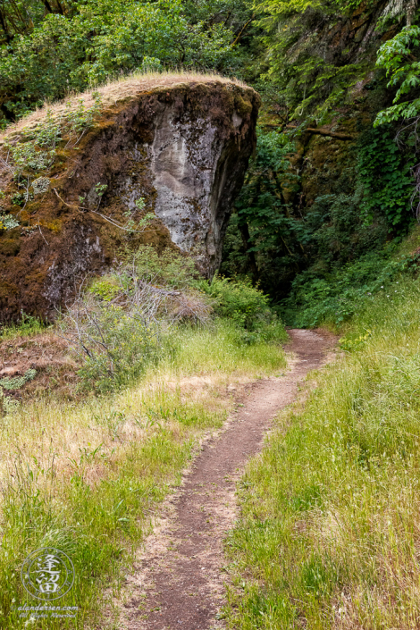 Trail down from the top of Golden Falls at Golden and Silver Falls State Natural Area near Allegany in Oregon.