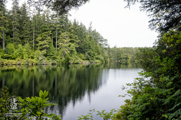 Cloudy morning at Lake Marie in the Umpqua Lighthouse State Park near Winchester Bay, Oregon.