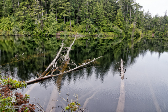 Cloudy morning at Lake Marie in the Umpqua Lighthouse State Park near Winchester Bay, Oregon.