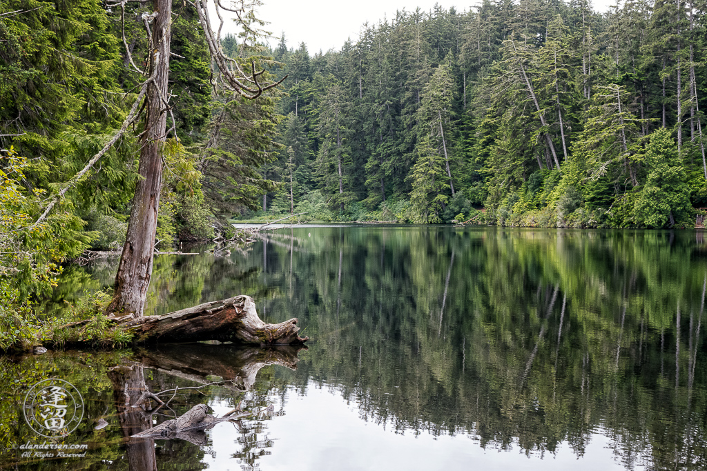 Cloudy morning at Lake Marie in the Umpqua Lighthouse State Park near Winchester Bay, Oregon.