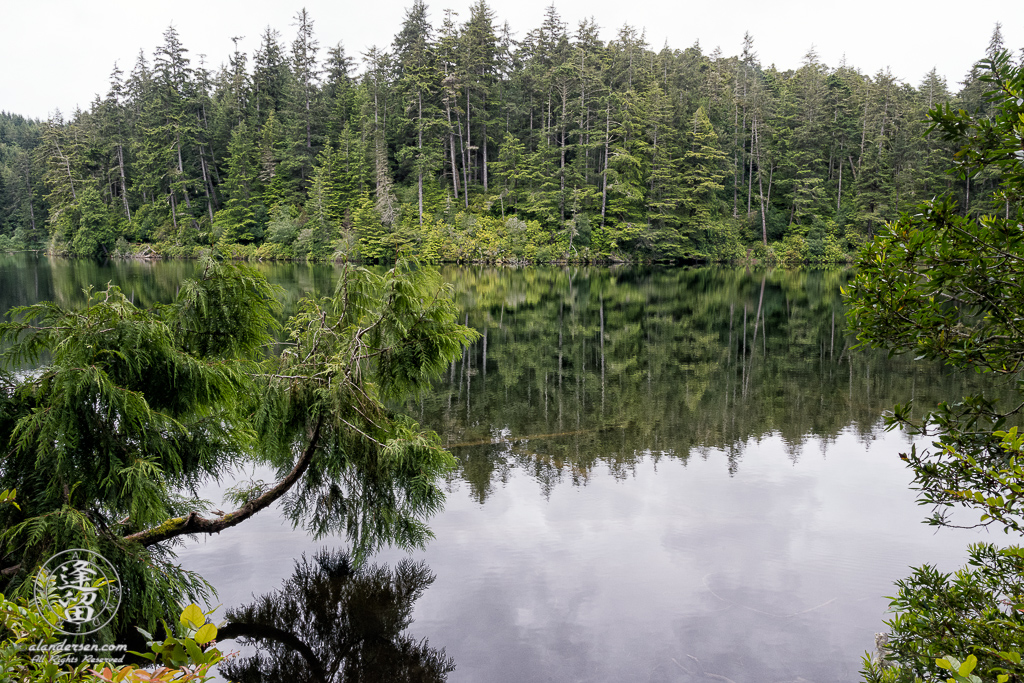 Cloudy morning at Lake Marie in the Umpqua Lighthouse State Park near Winchester Bay, Oregon.