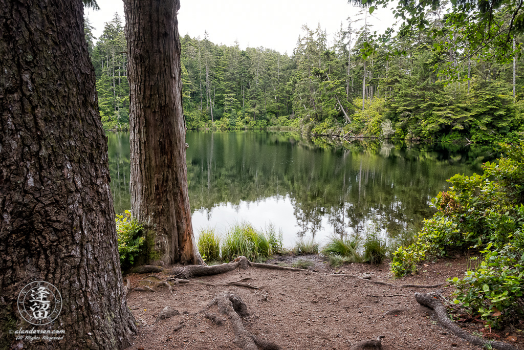 Cloudy morning at Lake Marie in the Umpqua Lighthouse State Park near Winchester Bay, Oregon.