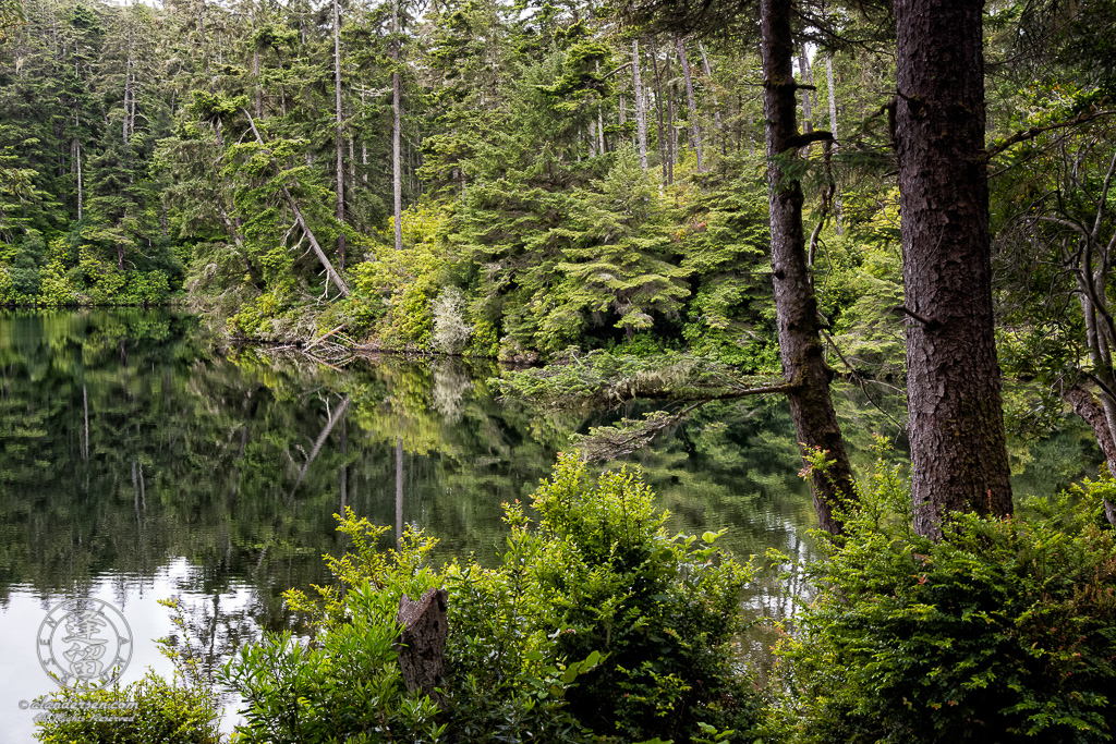 Cloudy morning at Lake Marie in the Umpqua Lighthouse State Park near Winchester Bay, Oregon.