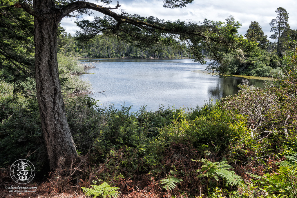 Scenic view of Lower Empire Lake at John Topits Park in North Bend, Oregon.