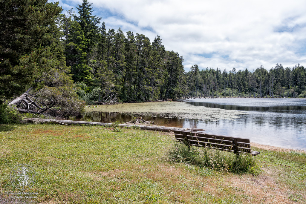 Scenic view of Lower Empire Lake at John Topits Park in North Bend, Oregon.