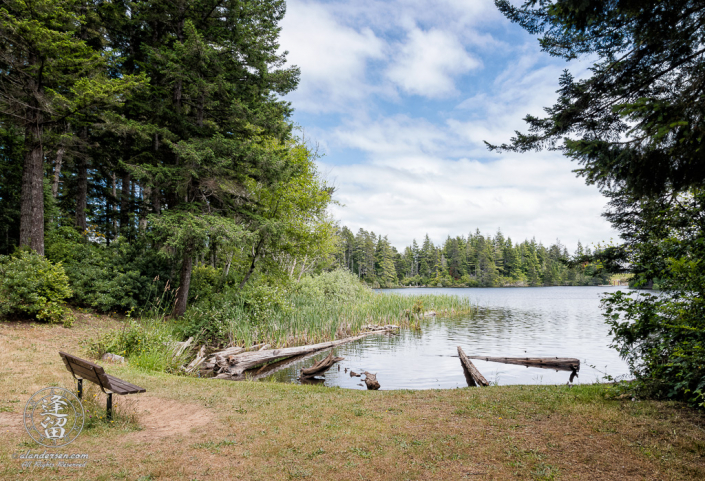 Scenic view of Middle Empire Lake at John Topits Park in North Bend, Oregon.