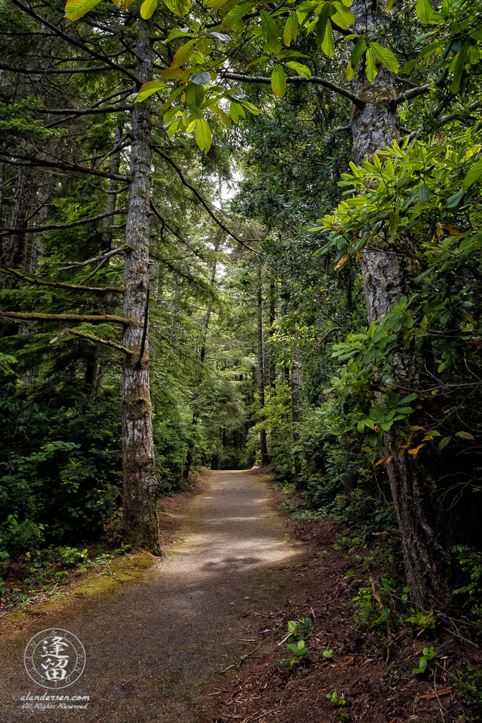 Paved trail that circumnavigates Lower Empire Lake at John Topits Park in North Bend, Oregon.