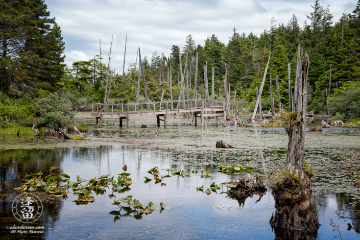 Disused wooden foot bridge over Lower Empire Lake at John Topits Park in North Bend, Oregon.