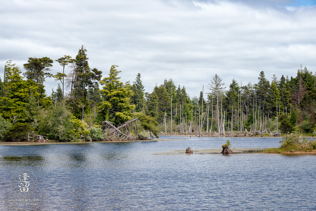 Scenic view of Lower Empire Lake at John Topits Park in North Bend, Oregon.