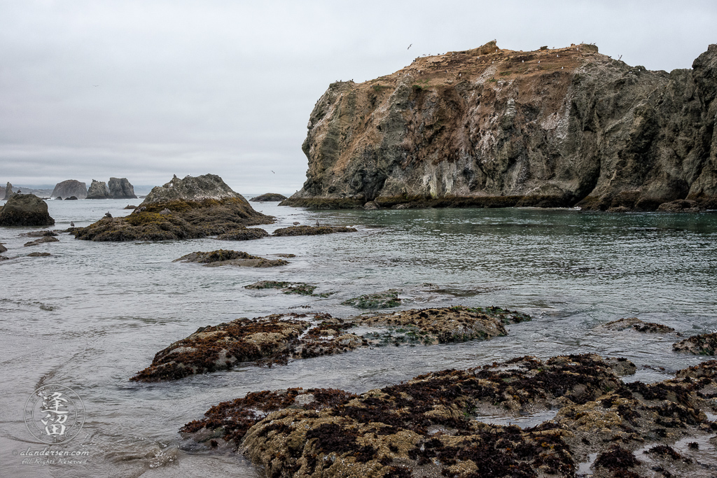 Seagulls and cormorants line the seastacks near Elephant Rock at Coquille Point in Bandon, Oregon. Bandon's more famous seastacks at Face Rock State Scenic Virepoint are in the background.