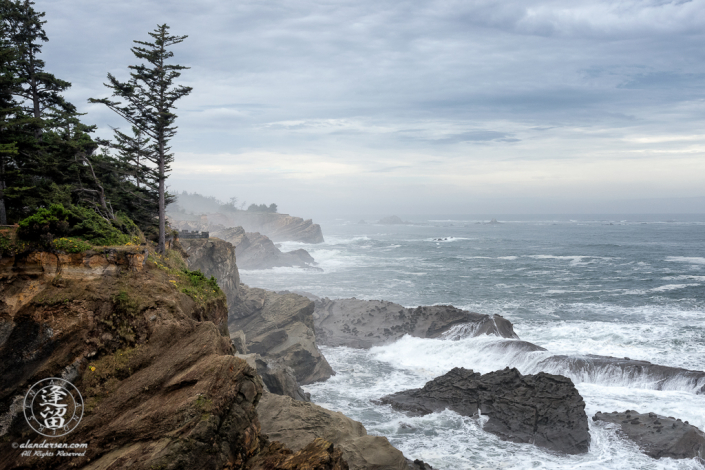 An evergreen tree atop a cliff during a storm at Shore Acres State Park outside of Charleston in Oregon.