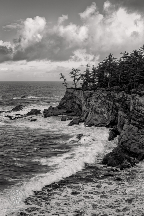 View of the cliffs along trail between Shore Acres State Park and the Simpson Reef Overlook, in Oregon.