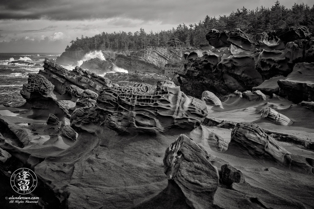 The amazing geology of the rugged cliffs at Shore Acres State Park outside of Charleston in Oregon.