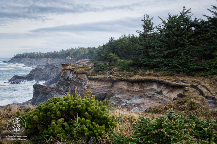 The Pacific Coast Trail, looking North toward Shore Acres, outside of Charleston in Oregon.