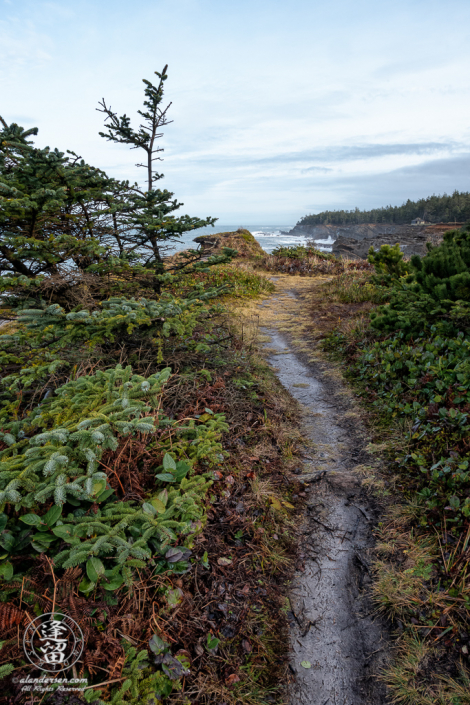 Pacific Coast Trail, looking North toward Shore Acres State Park outside of Charleston in Oregon.