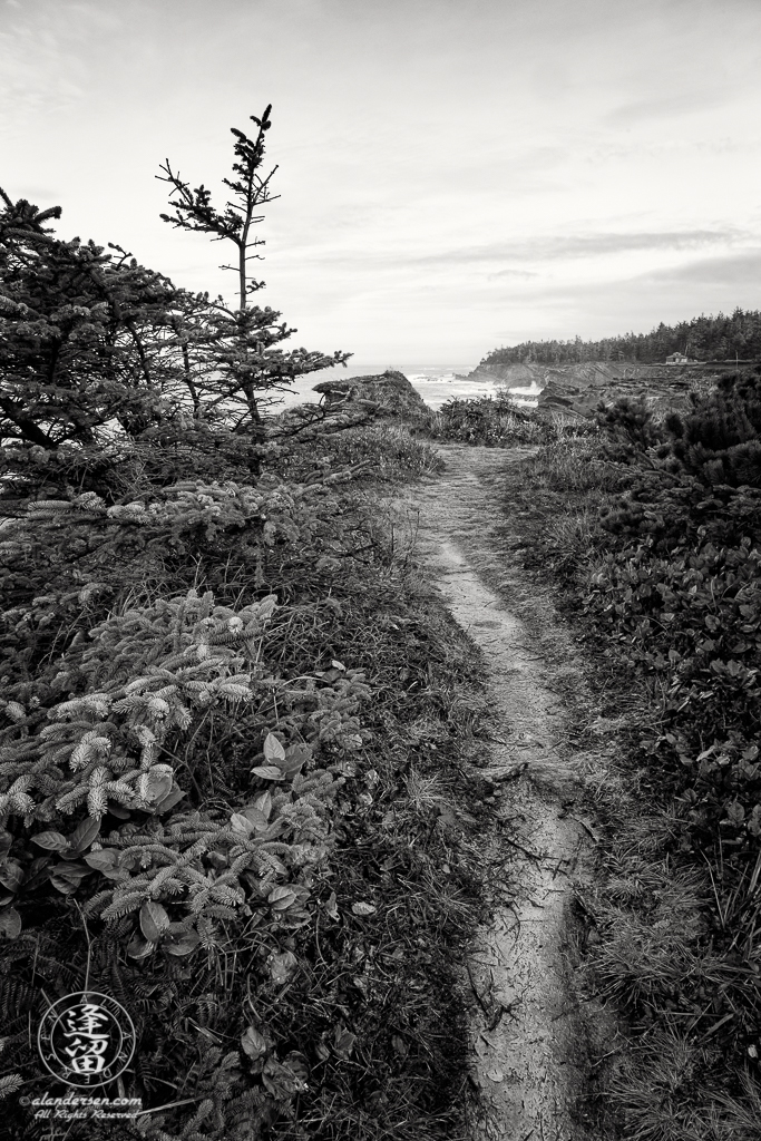 Pacific Coast Trail, looking North toward Shore Acres State Park outside of Charleston in Oregon.