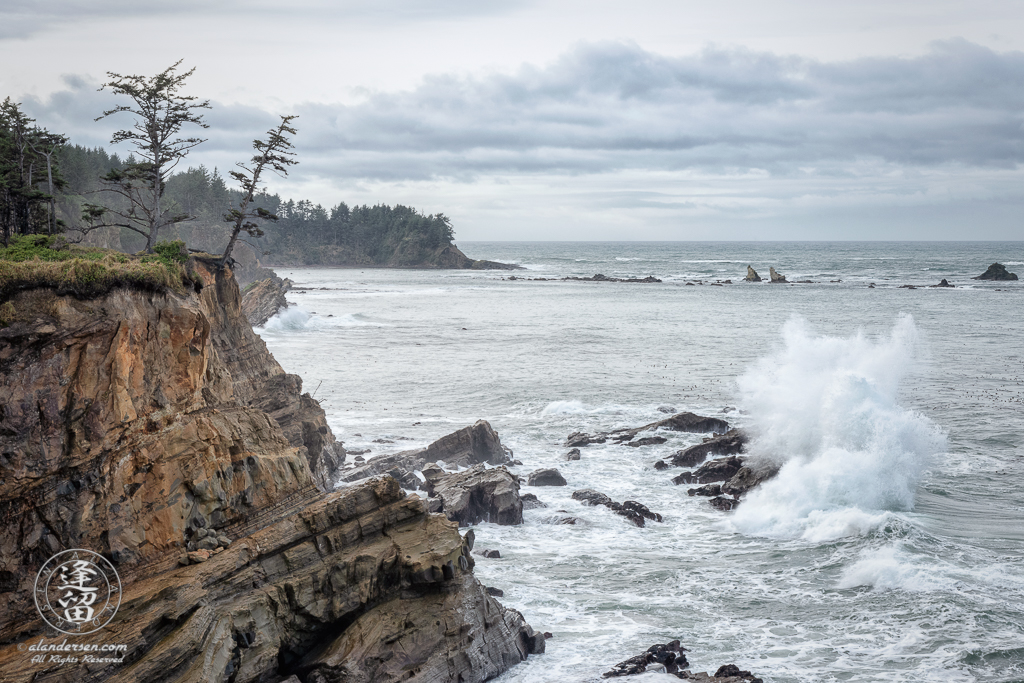 Pair of evergreen trees on cliff edge overlooking pacific ocean near Charleston in Oregon.