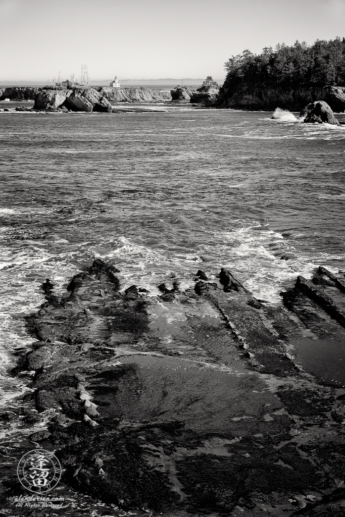 Cape Arago Lighthouse as seen from atop the cliffs near Norton Gulch at Cape Arago in Oregon.